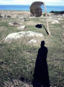 Self portrait, peninsular, Dunedin 