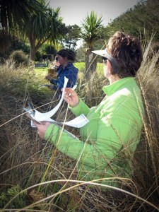 Recording species in a vegetation plot. WETMAK workshop, Southland 2012.