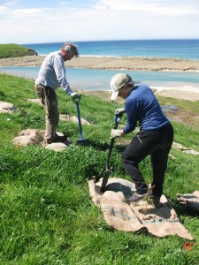 Henrik and Fiona protecting their new plantings with biodegradable coffee sacks