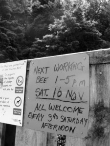 Pukemokemoke working bee