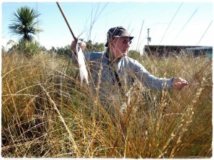 Community wetland monitoring workshop: setting up a vegetation plot
