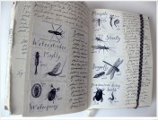 ID cards created for a US Education Centre. Diary, 2002