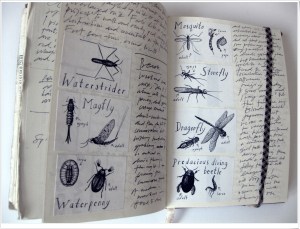 ID cards created for a US Education Centre. Diary, 2002