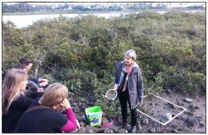 Training session for Marine Meter Squared