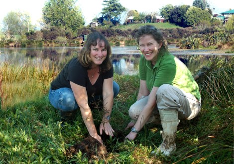 Riparian planting__Lake Cameron_Kareotahi_Abby Davidson_NZLandcareTrust