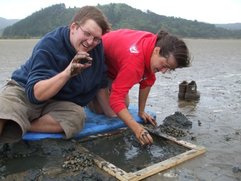Cockle monitoring, Moehau Environment Group