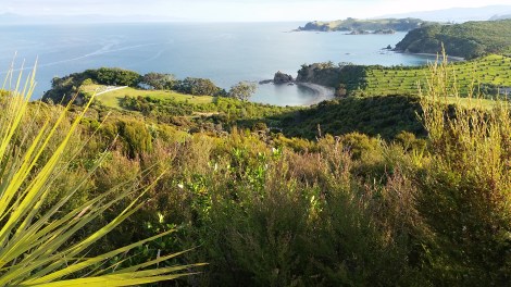 Rotoroa Island, December 2015