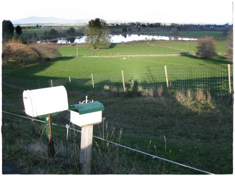 Serpentine Nth1 June 09