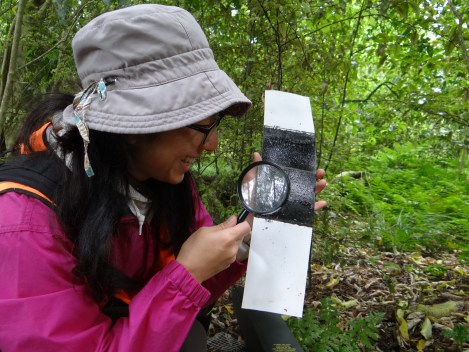 Noriko Peeters checking tracking cards_Karen Denyer, National Wetland Trust