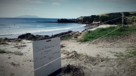 Tawharanui Open Sanctuary: ecosystem restoration, community partnerships, science and surfing  