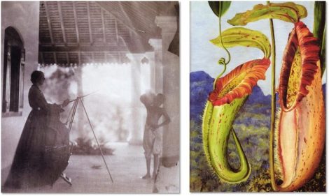 The marvelous Marianne North at work, painting her distinctive botanical illustrations in oil paint. 
