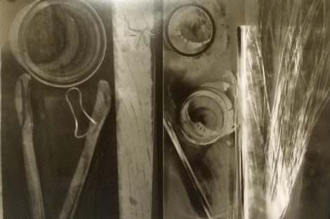 Photogram with assorted natural and man-made objects. Dunedin, NZ. 2006. 1/1