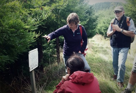 Explaining the plot data