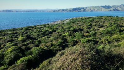 From Mana to the Mainland