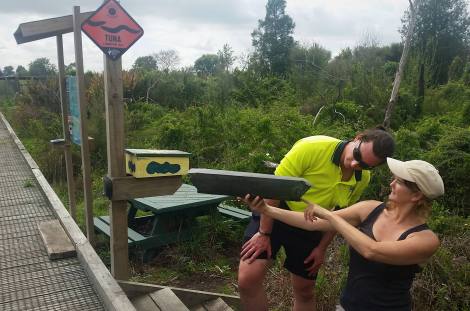 Checking tracking tunnels