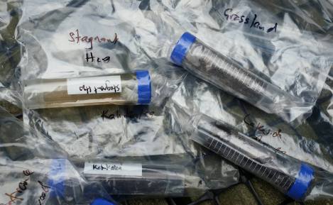 Collecting soil and water bacteria samples