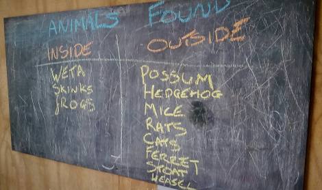 Inside vs outside the fence