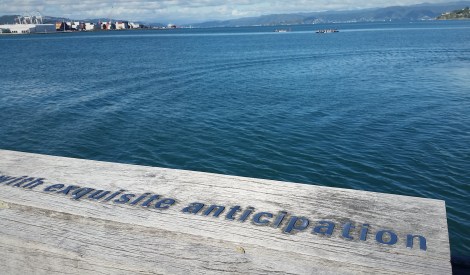 Wellington waterfront