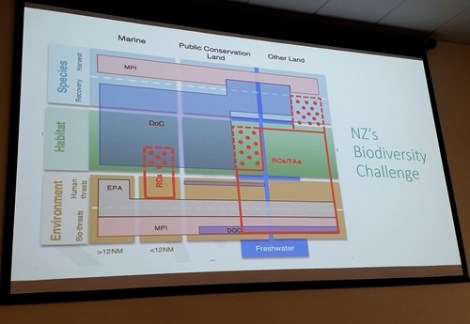 NZ Biodiversity Challenge