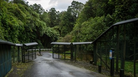 Entering the Predator Proof fence_Rotokare_Katrin adn Stefan Marks_Flickr CC