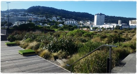Waitangi Park, Wellington