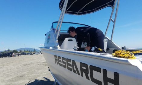 Kapiti Coast, Dec 2018