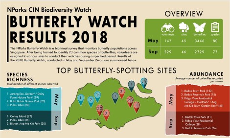 NParks Butterfly Survey